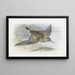 Bécasseau à poitrine cendrée - Archibald Thorburn — gerahmtes Bild an der Wand