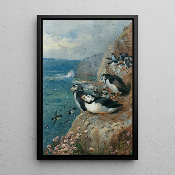 Reproduktion des Gemäldes Macareux und Tordapinguine - Archibald Thorburn