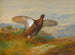 Rothirsch im Flug - Archibald Thorburn — Ansicht des Kunstwerks