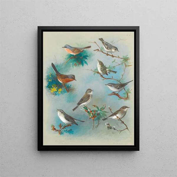 Fauvettes und Zaunkönige - Archibald Thorburn — gerahmtes Bild an der Wand
