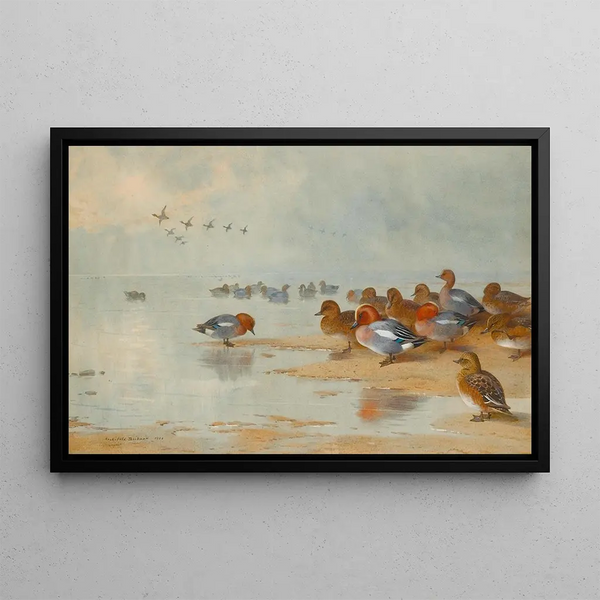 Sarcelle und Singschwan am Wasserufer - Archibald Thorburn — gerahmtes Bild an der Wand