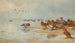 Sarcelle und Singschwan am Wasserufer - Archibald Thorburn — Ansicht des Kunstwerks