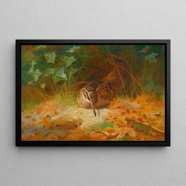 Bécasse - Archibald Thorburn — gerahmtes Bild an der Wand