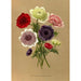 Reproduktion des Gemäldes Anémone Coronaria Fl Pl Anemonen Doubles - Arentina Hendrica Arendsen
