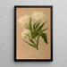 Tulpe Doppel Ros Blanche - Arentina Hendrica Arendsen — gerahmtes Bild an der Wand