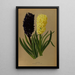 Jacinthes 2 - Arentina Hendrica Arendsen — gerahmtes Bild an der Wand