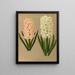 Jacinthes 7 - Arentina Hendrica Arendsen — gerahmtes Bild an der Wand