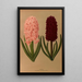 Jacinthes 8 - Arentina Hendrica Arendsen — gerahmtes Bild an der Wand