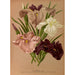 Reproduktion des Gemäldes Iris Kaempferi Var - Arentina Hendrica Arendsen
