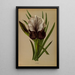Reproduktion des Gemäldes Iris Susiana - Arentina Hendrica Arendsen