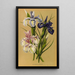 Reproduktion des Gemäldes Iris Xiphioides Iris Anglica - Arentina Hendrica Arendsen