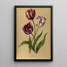 Tulpen späte - Arentina Hendrica Arendsen — gerahmtes Bild an der Wand