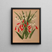 Leucojum aestivum, Pentlandia miniata - Arentina Hendrica Arendsen — gerahmtes Bild an der Wand
