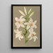 Lys candidum - Arentina Hendrica Arendsen — gerahmtes Bild an der Wand