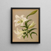 Lys de Longiflorum - Arentina Hendrica Arendsen — gerahmtes Bild an der Wand
