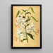Lys speciosum punctatum - Arentina Hendrica Arendsen — gerahmtes Bild an der Wand