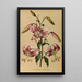 Lys speciosum rubrum - Arentina Hendrica Arendsen — gerahmtes Bild an der Wand