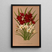 Schizostylis coccinea Zephyranthes candida - Arentina Hendrica Arendsen — gerahmtes Bild an der Wand