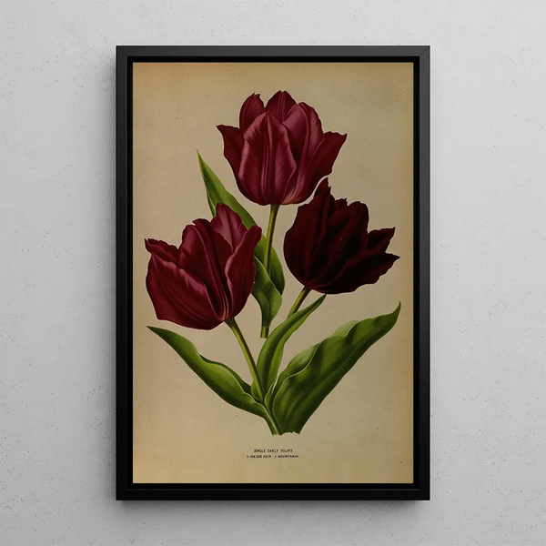 Reproduktion des Gemäldes Tulpen einfache frühe Van Der Neer Wouwerman - Arentina Hendrica Arendsen