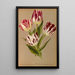 Tulipes simples précoces 2 - Arentina Hendrica Arendsen — gerahmtes Bild an der Wand