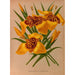 Tigridia conchiflora variété canariensis - Arentina Hendrica Arendsen — Ansicht des Kunstwerks