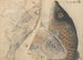 Carnet de croquis Pl001 - Ariyoshi Kondo — Ansicht des Kunstwerks