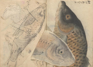 Ariyoshi Kondo - Sketchbook Pl001.webp