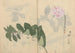 Carnet de croquis Pl011 - Ariyoshi Kondo — Ansicht des Kunstwerks