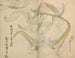 Skizzenbuch Pl012 - Ariyoshi Kondo — Ansicht des Kunstwerks