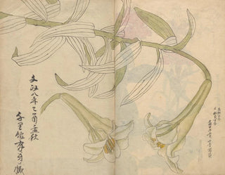 Skizzenbuch Pl012 - Ariyoshi Kondo — Ansicht des Kunstwerks