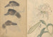 Carnet de croquis Pl014 - Ariyoshi Kondo — Ansicht des Kunstwerks