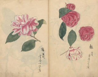 Skizzenbuch Pl017 - Ariyoshi Kondo — Ansicht des Kunstwerks