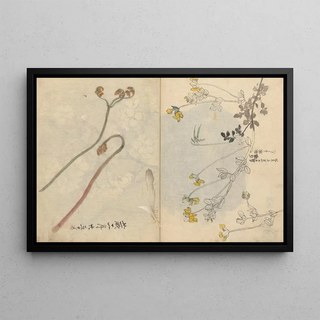 Ariyoshi Kondo - Sketchbook Pl026.webp