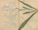 Skizzenbuch Pl031 - Ariyoshi Kondo — Ansicht des Kunstwerks