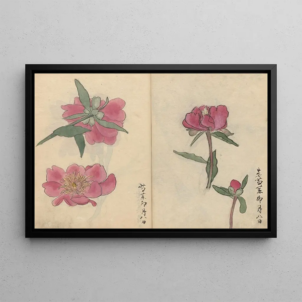 Skizzenbuch Pl032 - Ariyoshi Kondo — gerahmtes Bild an der Wand