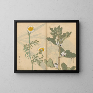 Skizzenbuch Pl036 - Ariyoshi Kondo — gerahmtes Bild an der Wand