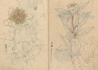 Ariyoshi Kondo - Sketchbook Pl040.webp