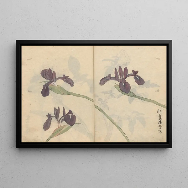 Ariyoshi Kondo - Sketchbook Pl043.webp