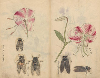 Skizzenbuch Pl044 - Ariyoshi Kondo — Ansicht des Kunstwerks
