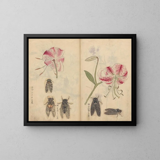 Skizzenbuch Pl044 - Ariyoshi Kondo — gerahmtes Bild an der Wand