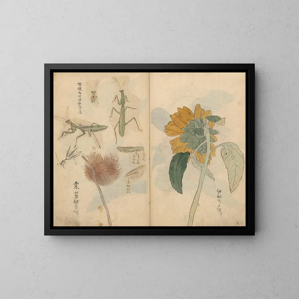 Carnet de croquis Pl048 - Ariyoshi Kondo — gerahmtes Bild an der Wand