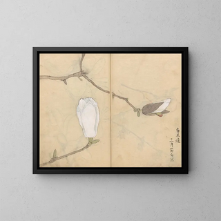 Skizzenbuch Pl051 - Ariyoshi Kondo — gerahmtes Bild an der Wand
