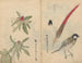 Carnet de croquis Pl053 - Ariyoshi Kondo — Ansicht des Kunstwerks