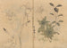 Carnet de Croquis Pl055 - Ariyoshi Kondo — Ansicht des Kunstwerks