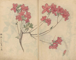 Ariyoshi Kondo - Sketchbook Pl056.webp