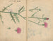 Skizzenbuch Pl062 - Ariyoshi Kondo — Ansicht des Kunstwerks
