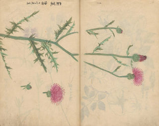 Skizzenbuch Pl062 - Ariyoshi Kondo — Ansicht des Kunstwerks