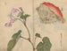 Skizzenbuch Pl066 - Ariyoshi Kondo — Ansicht des Kunstwerks