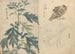 Carnet de croquis Pl070 - Ariyoshi Kondo — Ansicht des Kunstwerks