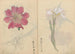 Skizzenbuch Pl071 - Ariyoshi Kondo — Ansicht des Kunstwerks